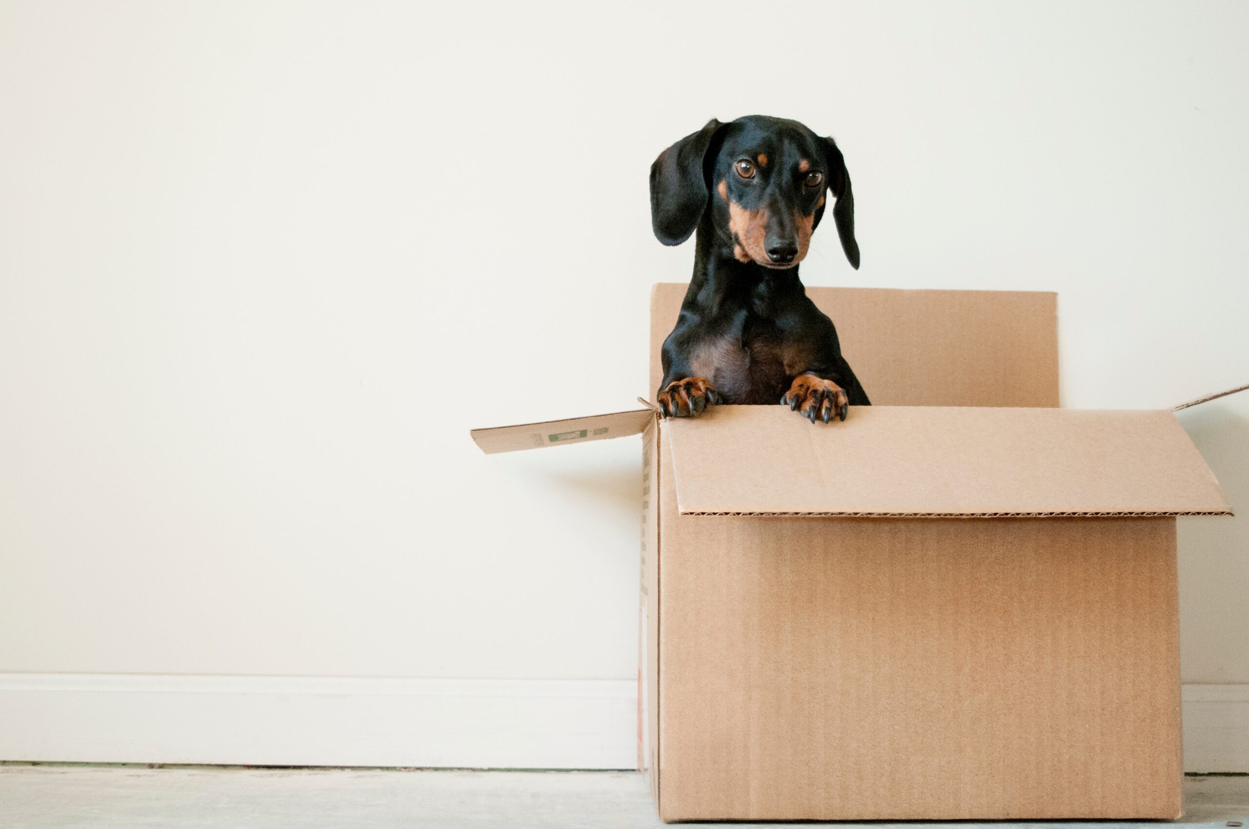 3 Important Moving Tips